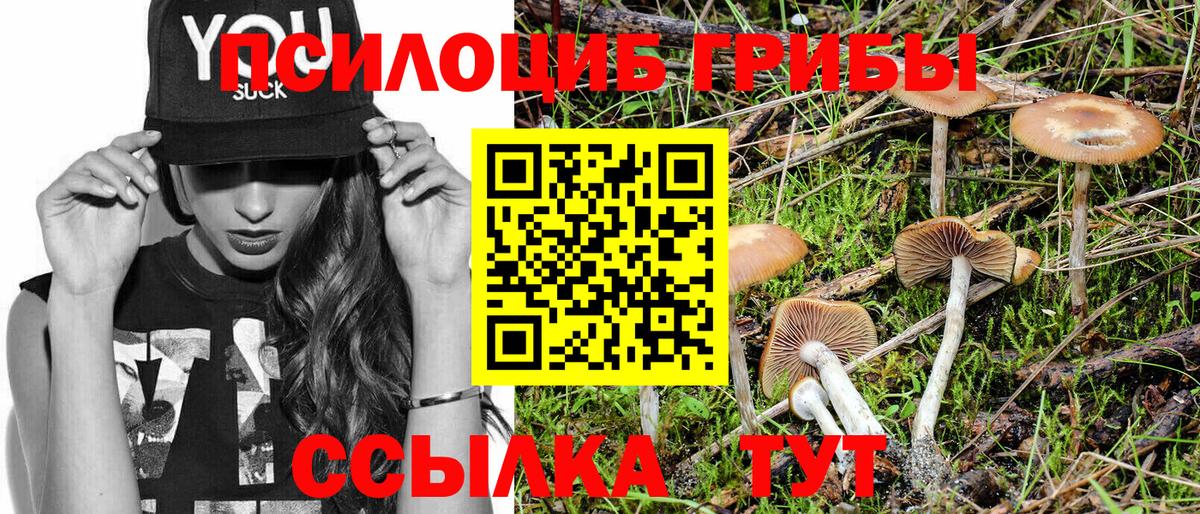 Псилоцибиновые грибы MAGIC MUSHROOMS Советский