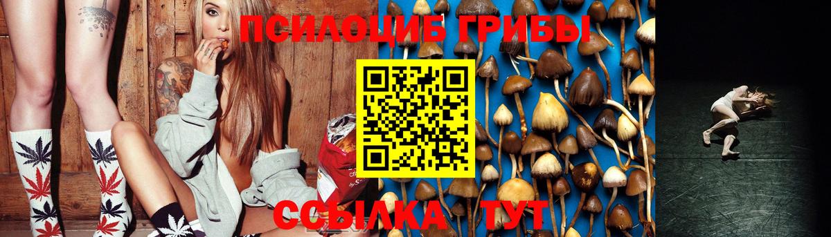 Псилоцибиновые грибы Psilocybine cubensis  Вход с VPN  Советский 